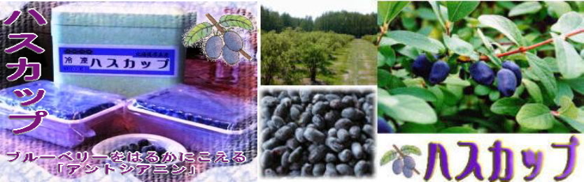 ハスカップの原産地胆振の北海道勇払郡厚真町の果樹園　ゆの美　でハスカップを栽培しています。?