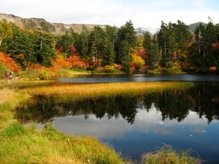 北海道の池と紅葉の針広混交林